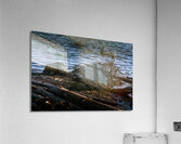 FS240929 ROOTS Acrylic Print
