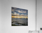 FS240801 TERRA NOVA Acrylic Print