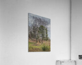 FS250101 GREEN LIFE Acrylic Print