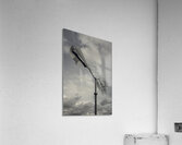 FS240229 36  Acrylic Print