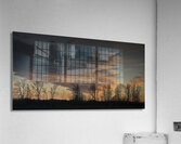 FS250125DW Acrylic Print