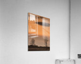 20250121 07 154 Acrylic Print