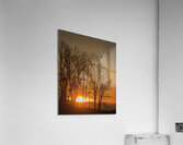 FS250118 SILHOUETTES Acrylic Print