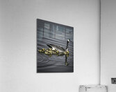 FS240422 GOOSE MOTHER AND KIDS Acrylic Print