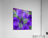 20240819 38 Edit Acrylic Print