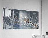 FS250211 EAGLES DW Acrylic Print