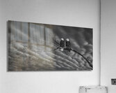 FS250211BW TWO EAGLES Acrylic Print