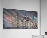 FS250211 MONO Acrylic Print
