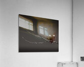 FS250211 EAGLES TWOGETHER B4 Acrylic Print