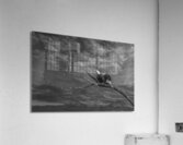 FS250211 EAGLES TWOGETHER BW2 Acrylic Print