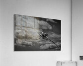 FS250211BW EAGLES CALLING Acrylic Print