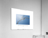 YOUR LIMITS Acrylic Print