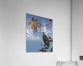 FS250707 EAGLE RESTING ON TREE Acrylic Print