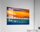 FS200519A Acrylic Print