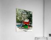 FS171219 Acrylic Print