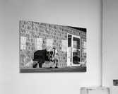 FS190113BW Acrylic Print