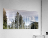 FS200822DW Acrylic Print