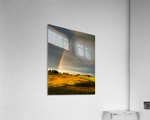 FS160617AA Acrylic Print