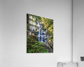 FS200829H Acrylic Print