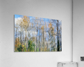 FS201107R Acrylic Print