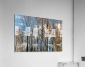 Autumn2020 Acrylic Print