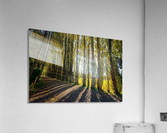 FS200928H Acrylic Print