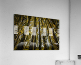FS200928E Acrylic Print
