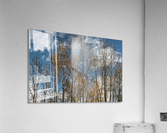 FS201107 8 Acrylic Print