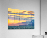 FS170715 0 Acrylic Print