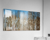 FS170310W Acrylic Print
