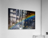 FS170528R2 Acrylic Print
