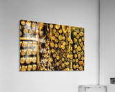 FS170607G2 Acrylic Print