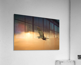 FS200814 0 Acrylic Print