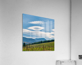 FS080518S6 Acrylic Print