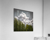 FS210501S Acrylic Print