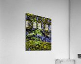 TREE ON THE CLIFF Acrylic Print