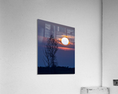 SETTING SUN 22 Acrylic Print