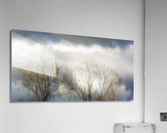 FS230119 Surrealism Acrylic Print