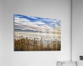 FS220925 022 Acrylic Print