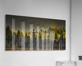 FS230221FF Acrylic Print