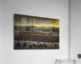 FS230221 08 Acrylic Print