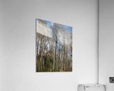 FS201107  TREE REFLECTION Acrylic Print