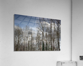 FS230307 082 Acrylic Print