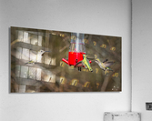 FS230317 Acrylic Print