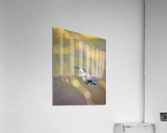 FS230318A2 Acrylic Print