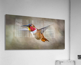 FS230322 360 2 Acrylic Print