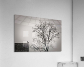 FS230317 MONO Acrylic Print