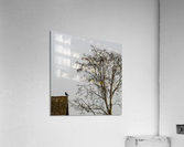 FS230317S Acrylic Print