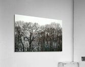 FS230317 256 Acrylic Print