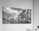 FS230401BB Acrylic Print